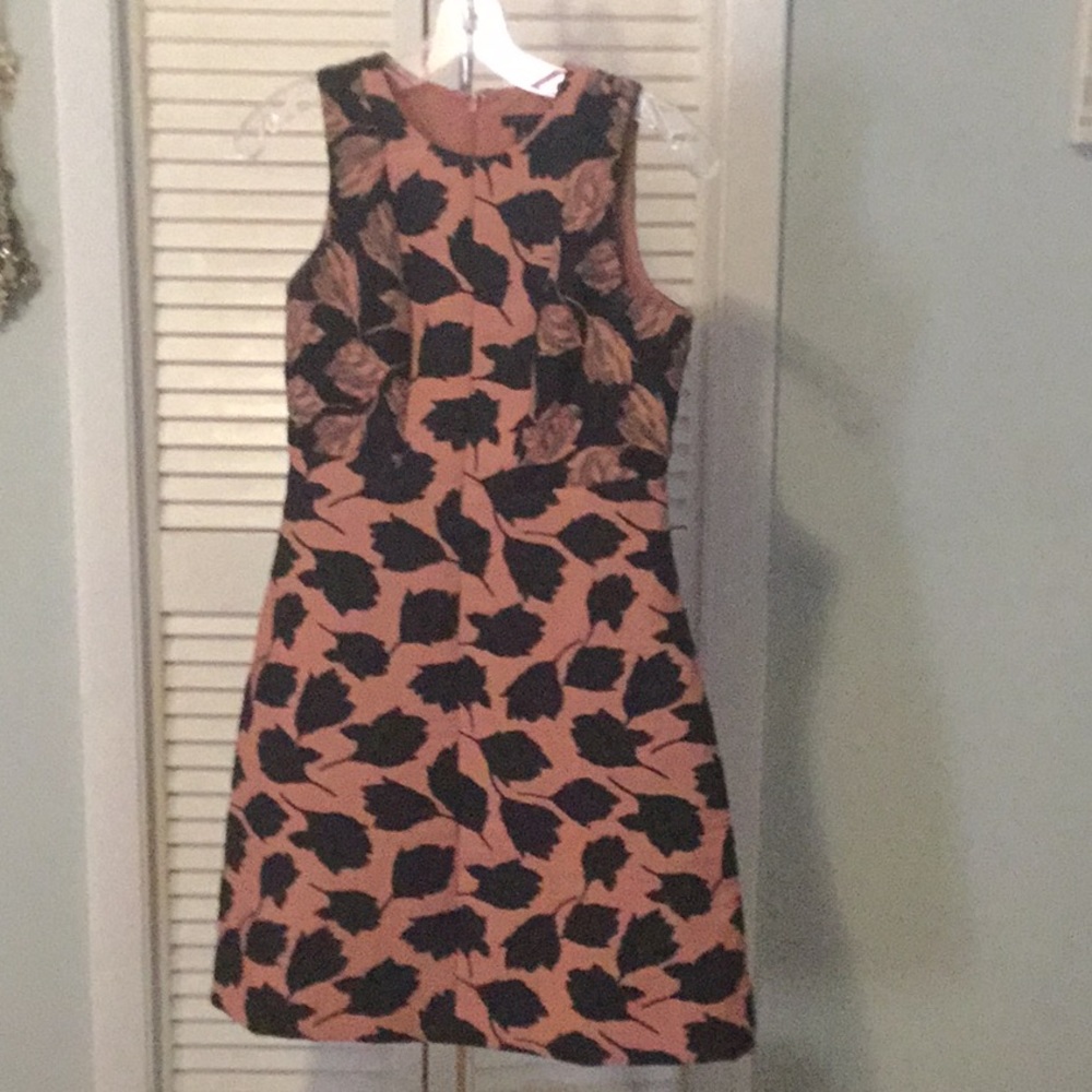 Ann Taylor Dress